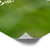 Dandelion Flower Poster (Hoek)