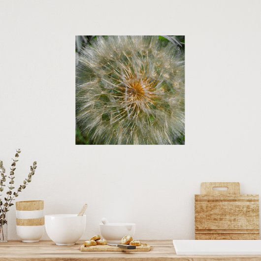 Dandelion Flower Poster (Keuken)