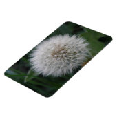 Dandelion Flower Premium Magnet Magneet (Linkerzijde)