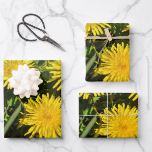 Dandelion Flower Trio Inpakpapier Vel