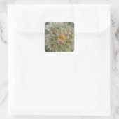 Dandelion Flower Vierkante Sticker (Tas)