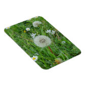 Dandelion flower wacht op wind magneet (Rechterzijde)