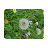 Dandelion flower wacht op wind magneet (Horizontaal)