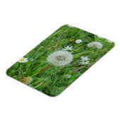 Dandelion flower wacht op wind magneet (Linkerzijde)