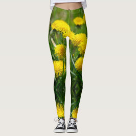 Dandelion Flowers Dandelions Yellow Green Leggings