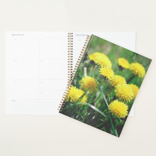 Dandelion Flowers Dandelions Yellow Green Planner (Display)