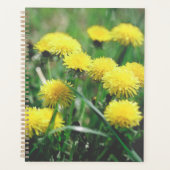 Dandelion Flowers Dandelions Yellow Green Planner (Voorkant)