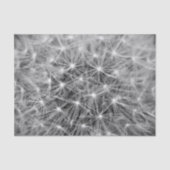 Dandelion Fluff Macro Tissuepapier (Voorkant)