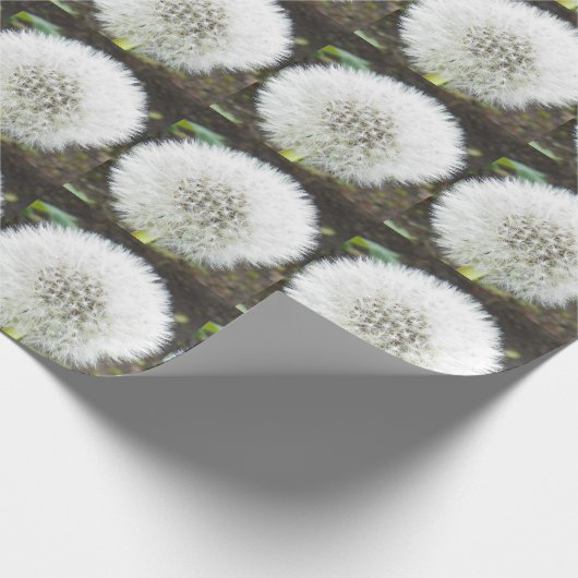 DANDELION FLUFF-overlooppapier Cadeaupapier (Hoek)
