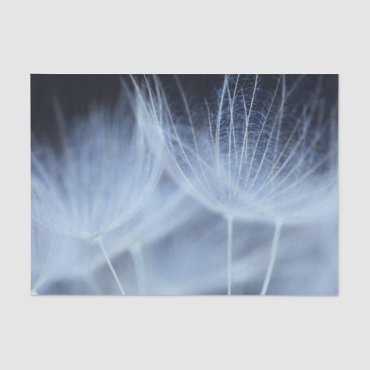 Dandelion Fluff Tissuepapier (Voorkant)