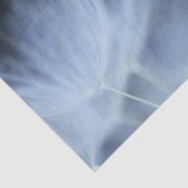 Dandelion Fluff Tissuepapier (Detail)