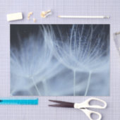 Dandelion Fluff Tissuepapier (Craft)