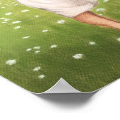 Dandelion FORCE poster (Hoek)