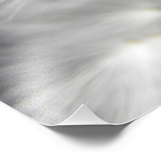 Dandelion Foto Afdruk (Hoek)