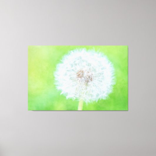 Dandelion - Gewoon wakker worden Canvas Afdruk (Voorkant)