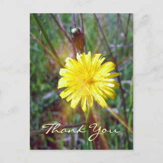 Dandelion Glow Briefkaart