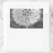 Dandelion Gone to Seed Rechthoekige Sticker (Tas)