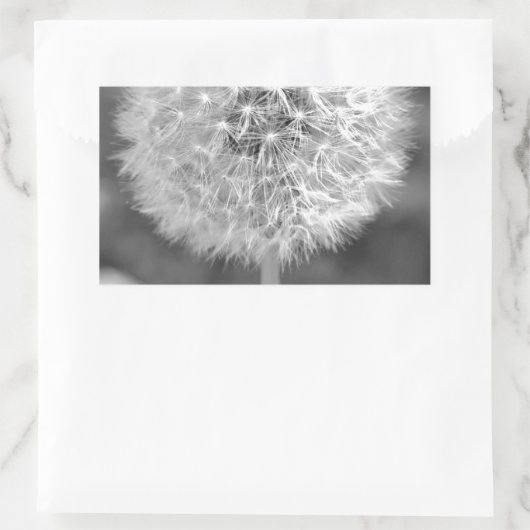 Dandelion Gone to Seed Rechthoekige Sticker (Tas)