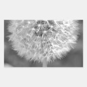 Dandelion Gone to Seed Rechthoekige Sticker (Voorkant)