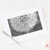 Dandelion Gone to Seed Rechthoekige Sticker (Envelop)