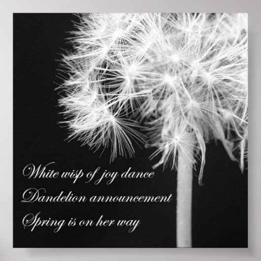 Dandelion Haiku Poster (Voorkant)