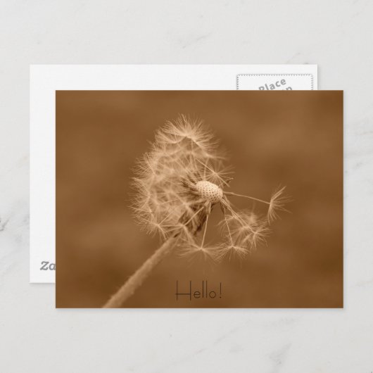 Dandelion Hallo Briefkaart (Voorkant / Achterkant)