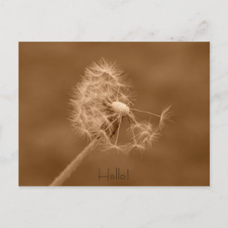 Dandelion Hallo Briefkaart