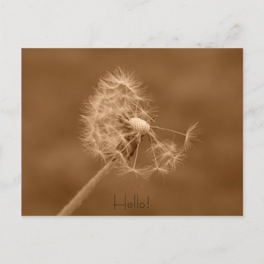 Dandelion Hallo Briefkaart (Voorkant)