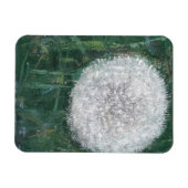 Dandelion Head 2008 Magneet (Horizontaal)