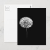 Dandelion Head Briefkaart (Voorkant / Achterkant)