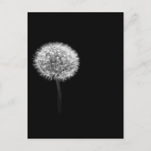 Dandelion Head Briefkaart