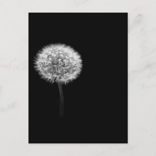 Dandelion Head Briefkaart (Voorkant)