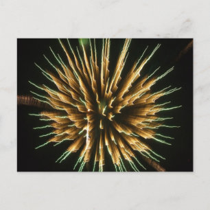 Dandelion in brand briefkaart