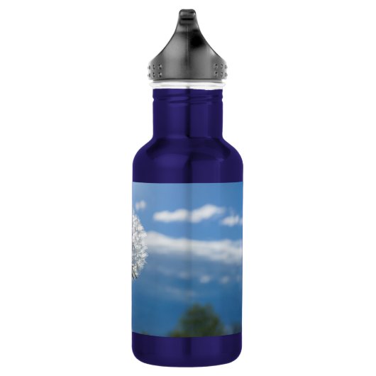 Dandelion in de flacon met licht water waterfles  (Rechts)