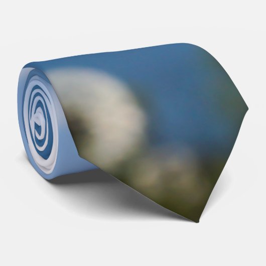 Dandelion in de lichte Stropdas (Opgerold)