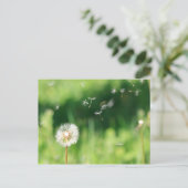 Dandelion in de wind briefkaart (Staand voorkant)