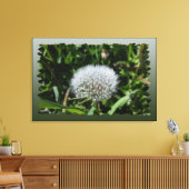Dandelion in het gras canvas afdruk (Insitu (Woonkamer))