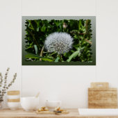Dandelion in het gras poster (Keuken)