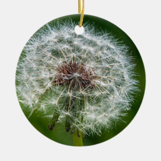 Dandelion in het licht keramisch ornament (Voorkant)