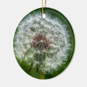 Dandelion in het licht keramisch ornament (Links)