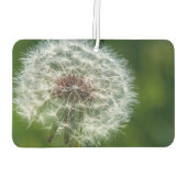 Dandelion in het licht luchtverfrisser (Achterkant)