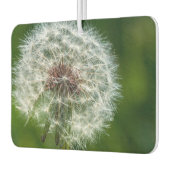 Dandelion in het licht luchtverfrisser (Links)