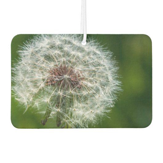 Dandelion in het licht luchtverfrisser (Voorkant)