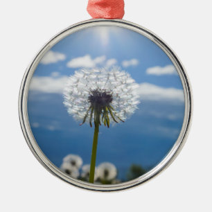Dandelion in het licht metalen ornament