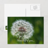 Dandelion in het licht van uw Briefkaart (Voorkant / Achterkant)