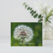 Dandelion in het licht van uw Briefkaart (Staand voorkant)