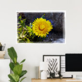 Dandelion in sunlight poster (Thuiskantoor)