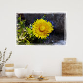 Dandelion in sunlight poster (Keuken)