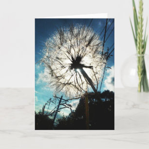 "Dandelion in the Sun" Birthday Kaart