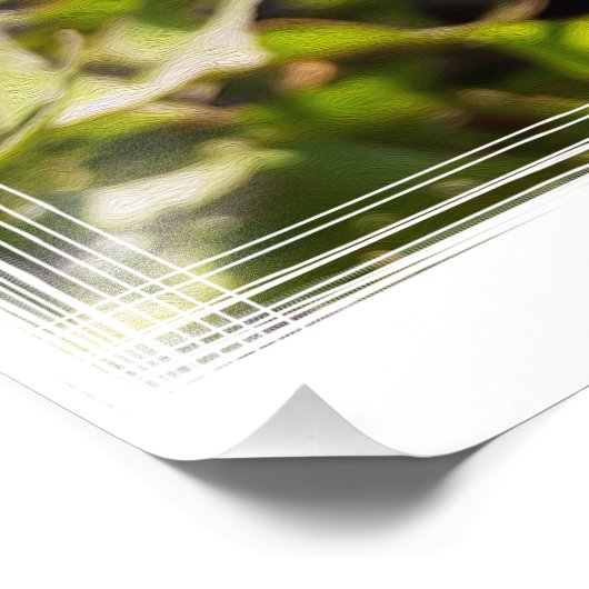 Dandelion in zonlicht foto afdruk (Hoek)